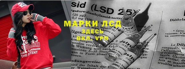 spice Арсеньев