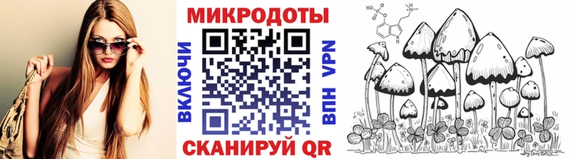 Псилоцибиновые грибы Cubensis  Купить закладки  Тосно 